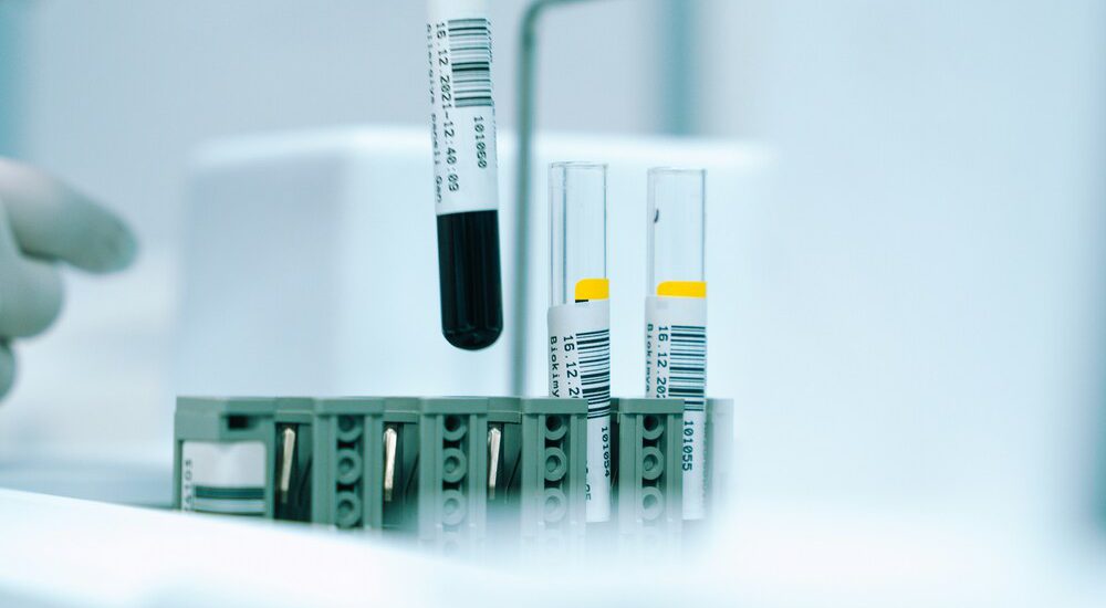 Atualização de medicamentos com exportação