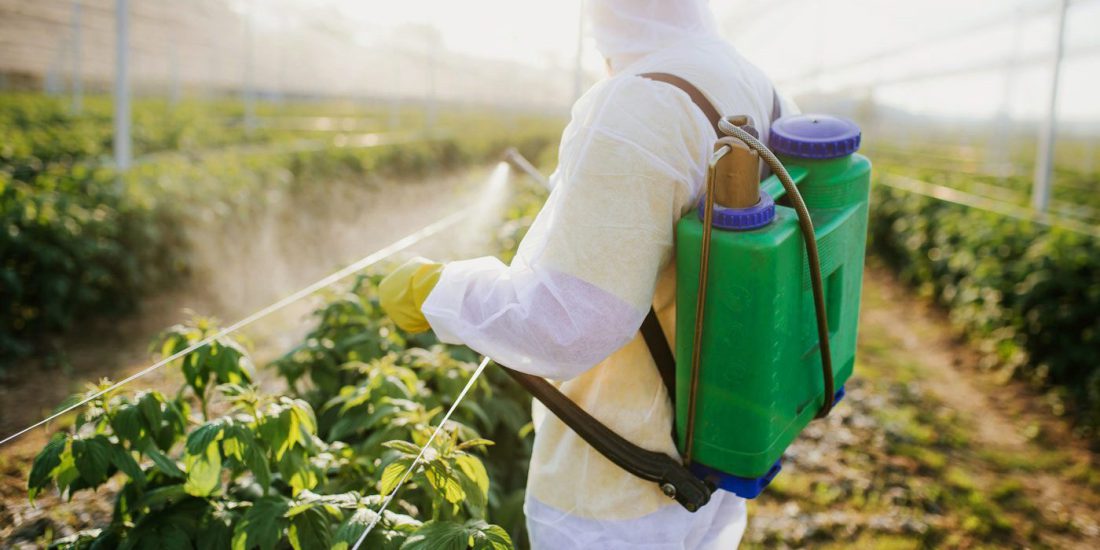 Despacho nº40/G/2026 – Aquisição de PF possível com cartão antigo + certificado de formação